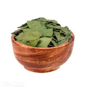 گیاه دارویی برگ بو